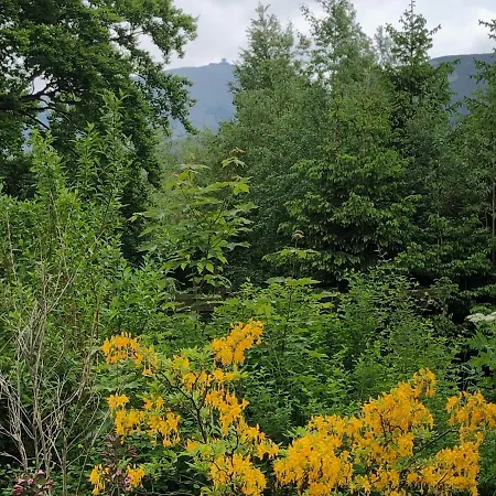 Azyl - Każdy Pokój Z Własną Kuchnią I łazienką Karpacz