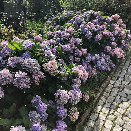 Azyl - Każdy Pokój Z Własną Kuchnią I łazienką Karpacz