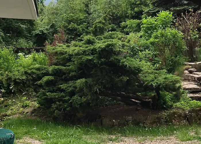 Azyl - Kazdy Z Wlasna Kuchnia I Lazienka Karpacz