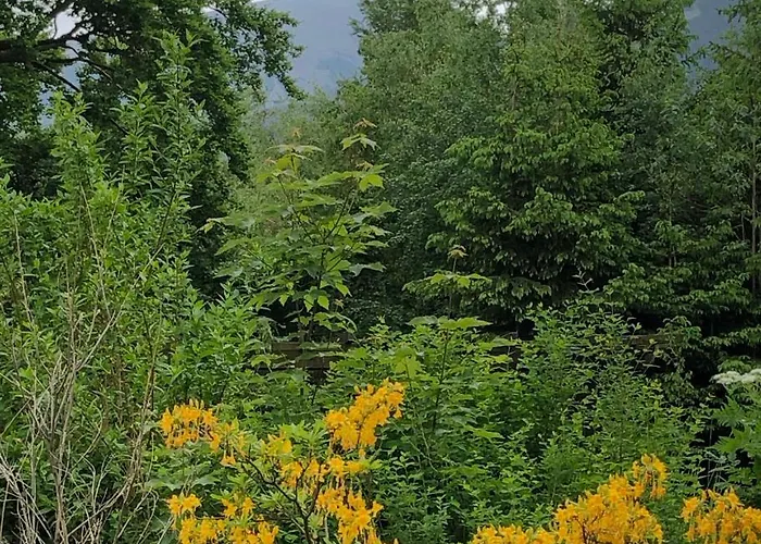 Azyl - Kazdy Z Wlasna Kuchnia I Lazienka Karpacz