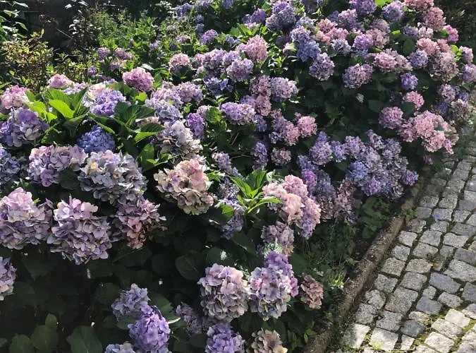 Azyl - Kazdy Z Wlasna Kuchnia I Lazienka Karpacz